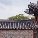 이호 한옥민박 | Alone in jeju : 제주 골목 투어