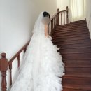W6. 고야 스튜디오 💍 서주작가님 (촬영 솔직후기🙆🏻‍♀️)