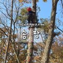 솜팡 | 대구 체험형키즈카페 솜팡 방문 후기｜숲·수영·미술 한 곳에서 끝내기