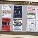 과학실험왕 유치부 네이버블로그