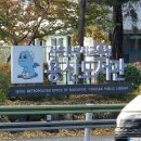 삶으로서의 시 쓰기 | 용산도서관/에버러닝-글쓰기의 즐거움 권지영 작가와의 만남/1층 장가네 밥상