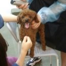 치타몰