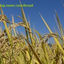 솔뫼농장 이미지