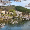 숲속앤정원 이미지