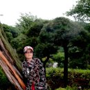 샘터가든 이미지