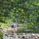 물가솔솔캠핑장 선택 전 꼭 볼 핵심 정보