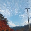 동복면사무소 | 산행후기_mr.j 48 화순 백아산 1