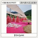 봉식이놀이터 | 대구 근교 아이랑 가볼만한곳 봉식이놀이터 9월에 다녀온 후기