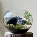 여석경로당 | [우주정원] &lt;2024년도&gt;13주 가드닝 클래스 창업반 전문가 창업 과정 모집 공고 서울 종로