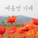 조이테라피 이미지