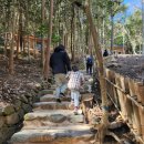 강진다산한우 이미지