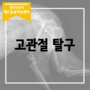양주24시해든동물의료센터 이미지