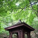 여름 혼행 코스, 부암동 석파정 서울미술관 주차 및 입장료 안내