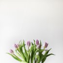 fine thanks 이미지