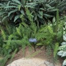 시민의발정비서비스(주) | 부천 무릉도원수목원 후기 – 단풍 절정/관람료/주차/예약 총정리