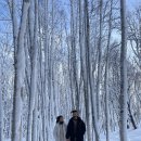 삼성렌터카 | 삿포로 여행기｜비에이·후라노렌터카로 다녀온 리얼 후기