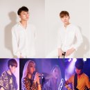 더스타더스트 이미지