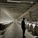 이탈리아 와이너리 투어 리카솔리 카스텔로 디 브롤리오 키안티 클라시코 Ricasoli Winery 후기