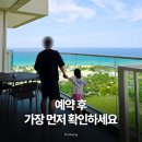 동호농장 | 나트랑 알마리조트 예약했다면 꼭 확인하세요 체크인·조식·수영장·키즈프로그램 총정리