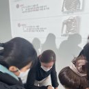 닥터파우제