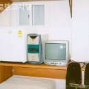 로뎀환경