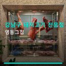 강남구 돼지고기 전문점 영동그집 주말 이용법과 주차 정보