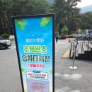 솔향유치원 | 솔내음 흩날리는 강릉 솔향 수목원 나들이