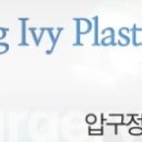 프로포즈성형외과