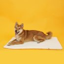 개과천선 이미지