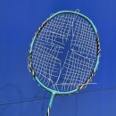 안성시배드민턴장 이미지