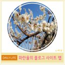 세븐일레븐 아산타운점 | 파란율의 블로그 사이트 맵