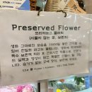 더봄플라워 이미지