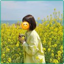 헤어머뭄