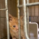 에덴동물병원 이미지