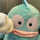 몽통구리 이미지