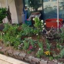 범우농장 이미지