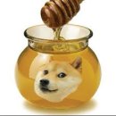개꿀 네이버블로그
