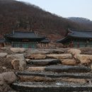 연천군심원사지부도군 | 연천 심원사.(심원사지)