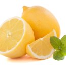 진원유통 이미지