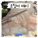 장안동 횟집 오징어데이 솔직 후기! 장한평역 맛집 찾는다면 여기