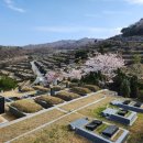 삼덕공원 이미지