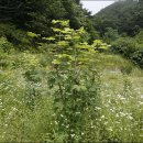 원산농장 이미지