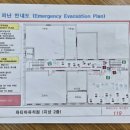 파티마유치원 이미지