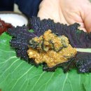 황토우렁이마을 이미지