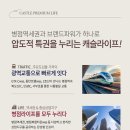 포레 이미지