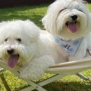 징검다리연구소 이미지