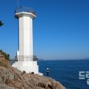 일석이조 이미지