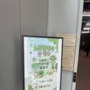 길주남로66번길 | 밍그로브 (MINGROVE) 출강 기록 | 초록별에서 온 친구 🌱 시페루스 반려식물 단체 클래스