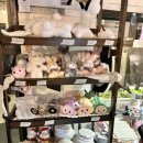 대가 유도관 이미지