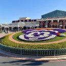 세븐일레븐 가능동심점 | 랜드부터 롯폰기,오모테산도,도쿄타워까쥐 + 에이프 경량패딩 후기 / 단톤 맨투맨 리뷰 및 가격(엔화 기준)